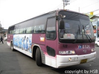 중부지역 시외버스류. (부제 : 영구와 땡칠이) - 버스 갤러리