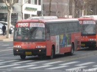 서울, 오산, 수원 등지 잡사 (부제 : 태화까 소환!) - 버스 갤러리