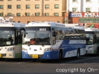 창원터미널 잡사 (1) - 버스 갤러리