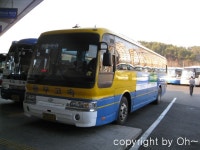 창원터미널 잡사 (1) - 버스 갤러리