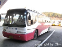 창원터미널 잡사 (1) - 버스 갤러리