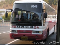 창원터미널 잡사 (1) - 버스 갤러리