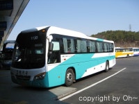 창원터미널 잡사 (2) - 버스 갤러리