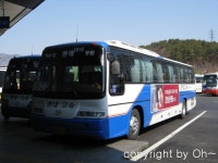 창원터미널 잡사 (2) - 버스 갤러리