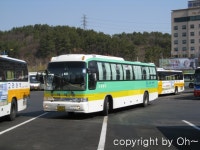 창원터미널 잡사 (2) - 버스 갤러리