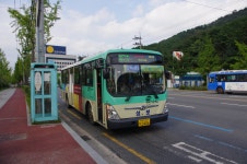 [11.09.17] 대구시내버스, 그리고 영천시내버스 - 버스 갤러리