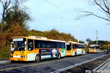 군산시내버스 잡사 - 버스 갤러리