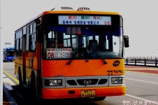 군산시내버스 잡사 - 버스 갤러리