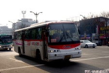 [120103] 태평역 잡사 - 버스 갤러리