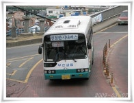 통영 심심풀이 잡사 2 - 버스 갤러리