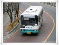 통영 심심풀이 잡사 2 - 버스 갤러리