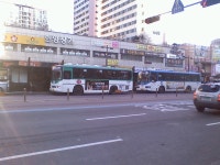 신성교통 700번에 에어로타운 등장? + 명성운수 유니 등 강선마을 잡채 - 버스 갤러리