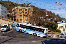 [부산] 시내버스잡사 - 버스 갤러리