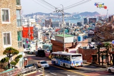 [부산] 시내버스잡사 - 버스 갤러리