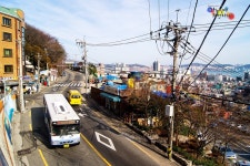 [부산] 시내버스잡사 - 버스 갤러리