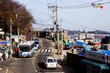 [부산] 시내버스잡사 - 버스 갤러리