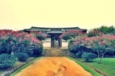 경상북도여행)예천+안동 여행 사진입니다 - 여행-국내 갤러리