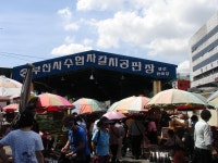 자갈치에서 - 도시 갤러리
