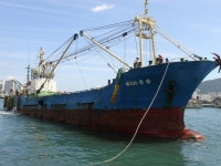 자갈치에서 - 도시 갤러리