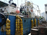 자갈치에서 - 도시 갤러리