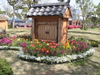 [부산]수영강변 봄꽃나들이 - 도시 갤러리