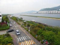 [부산]을숙도 대 평지공원 - 도시 갤러리