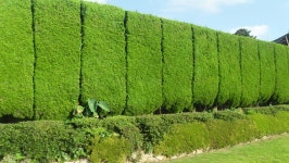 [부산]옥련선원, 에서본 주위풍경 - 도시 갤러리