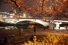 부산의 인프라 온천천 공원[여러 하천 공원 중에 일부(온천천)만 공개함] - 도시 갤러리