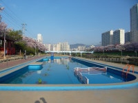 부산의 인프라 온천천 공원[여러 하천 공원 중에 일부(온천천)만 공개함] - 도시 갤러리