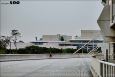 [안산]예술의전당,경기도립미술관,와스타디움 - 도시 갤러리