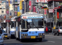 부산 시내버스 - 도시 갤러리