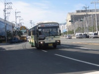 부산 시내버스 - 도시 갤러리