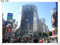 시부야 - 여행-일본 갤러리