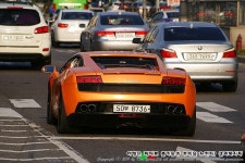 고속터미널 - 버스 갤러리