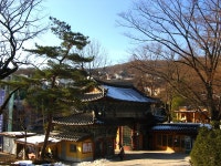 삼각산 길상사에서~ - 식물 갤러리