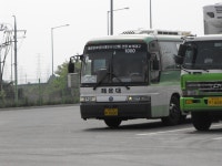 1000 - 버스 갤러리