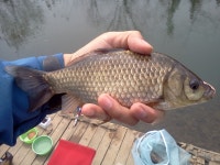 [짬낚]놀이터 - 낚시 갤러리