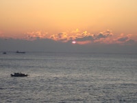 복갤러들 새해 선물입니다. - 복싱 갤러리