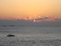 복갤러들 새해 선물입니다. - 복싱 갤러리