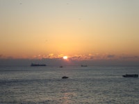 복갤러들 새해 선물입니다. - 복싱 갤러리