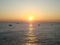 복갤러들 새해 선물입니다. - 복싱 갤러리