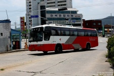 벌교공용버스터미널 - 버스 갤러리