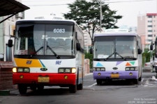 벌교공용버스터미널 - 버스 갤러리