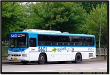 입석하니 5601번이 생각나는군 - 버스 갤러리