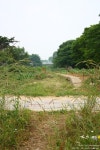 안산의 잊혀진 간이역 사리역. - 철도(지하철) 갤러리