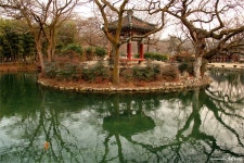 [550D] 남원 광한루원... 사진 몇장~~ - 캐논 갤러리