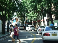 유럽풍 굵은나무...안정된 도시의 느낌 - 도시 갤러리  유럽풍  굵은나무...안정된 도시의 느낌 - 도시 갤러리