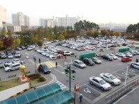 상암동쪽..공원단풍 - 도시 갤러리