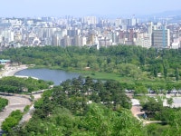 서울의 광활한 녹지 푸르게 푸르게~ - 도시 갤러리