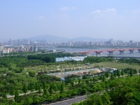 서울의 광활한 녹지 푸르게 푸르게~ - 도시 갤러리